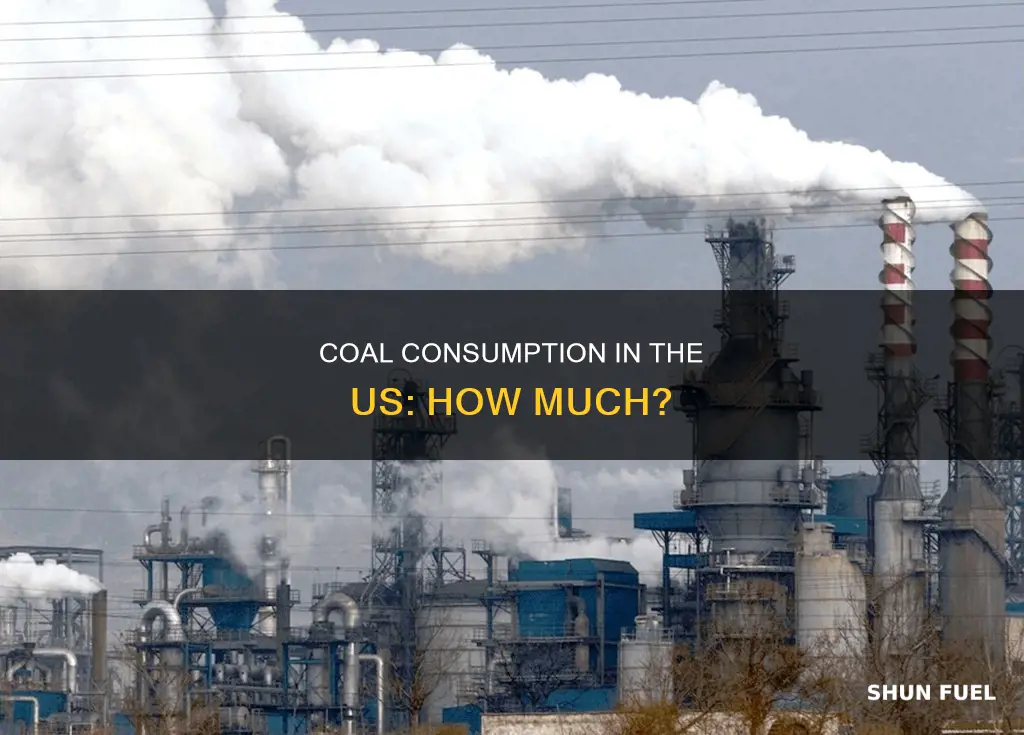 how much coal fuel us consume