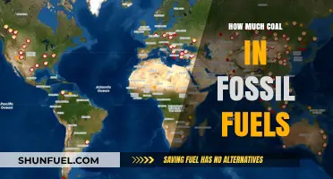Coal in Fossil Fuels: What's the Proportion?