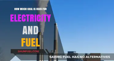 Coal Consumption: Powering the World with Electricity and Fuel