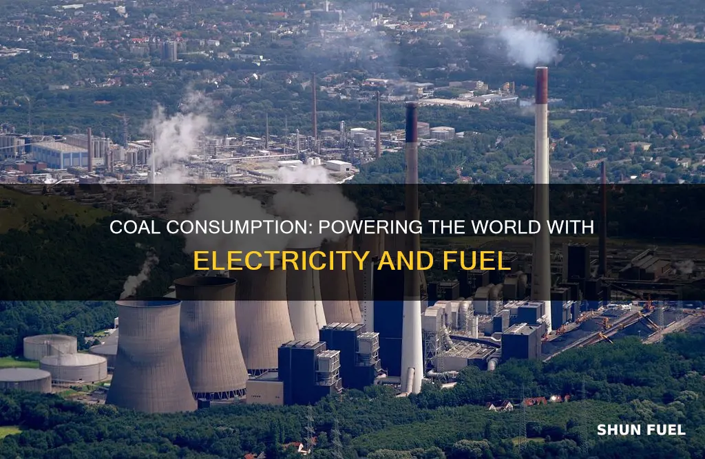how much coal is used for electricity and fuel