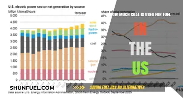 US Coal Consumption: How Much is Used for Fuel Annually?