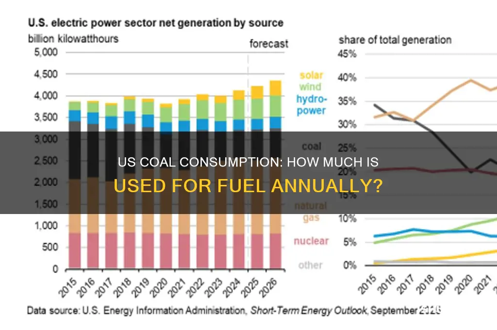how much coal is used for fuel in the us