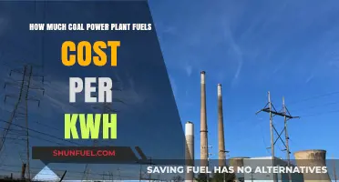 The True Cost of Coal Power Generation