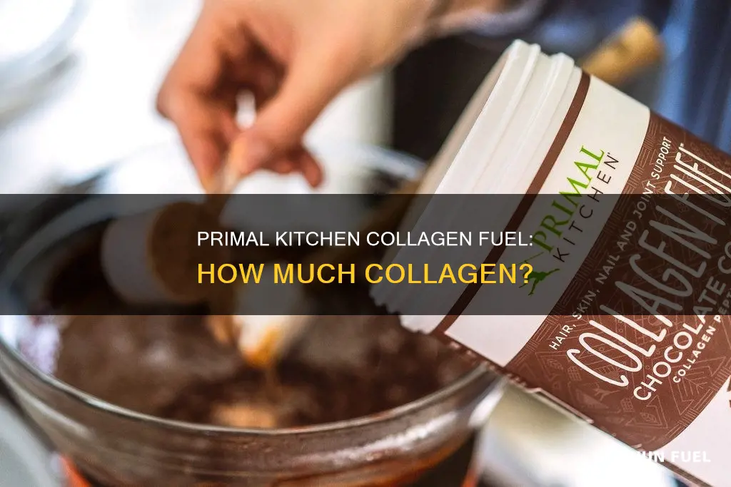 how much collagen is in primal kitchen collagen fuel