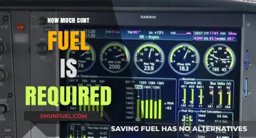The Future of Fuel: How Much Contaminant Can We Handle?