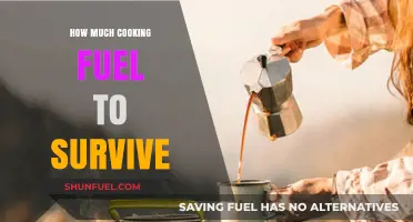 Cooking Fuel: How Much to Keep the Lights On?