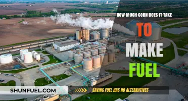 The Surprising Amount of Corn for Fuel Production