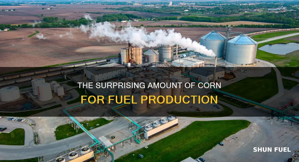 how much corn does it take to make fuel