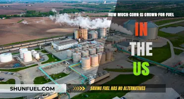 America's Corn Fields: Fuel or Food?