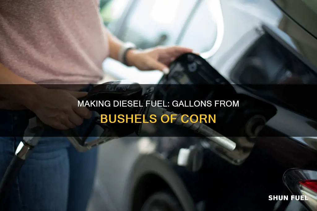 how much corn to make a gallon of diesel fuel