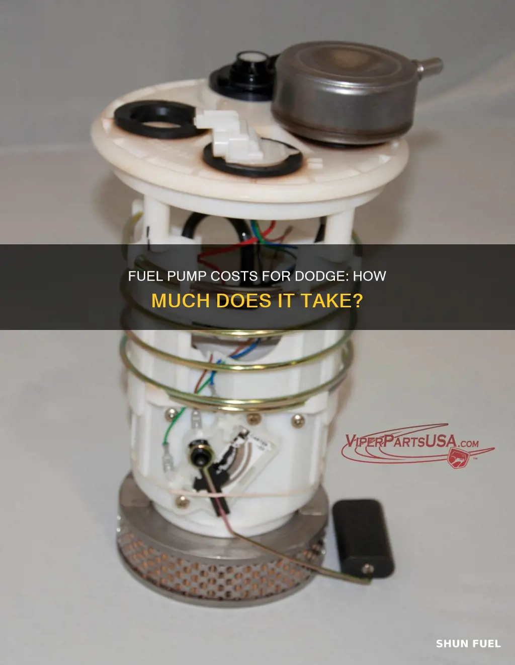 how much cost a fuel pump for a dogde