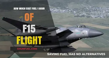 The High Cost of F-15 Fuel: An Hourly Rate