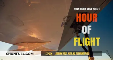 The True Cost of Fueling Flight