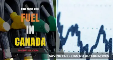 Fuel Costs in Canada: How Expensive Is It?