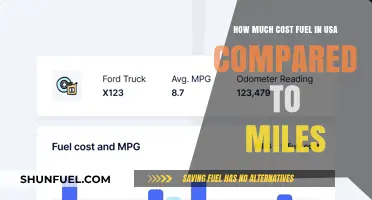 Fuel Costs and Mileage: The USA's Expense Reality