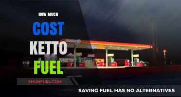 Ketto Fuel: Cost and Benefits Explored