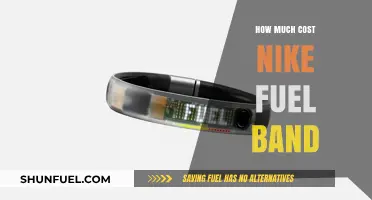 Nike Fuel Band: What's the Cost?