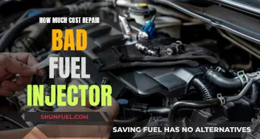 Fuel Injector Repair Costs: Expensive Fix or Easy Save?