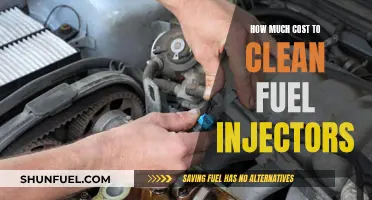 Cost of Cleaning Fuel Injectors: Expensive Maintenance or Simple Fix?