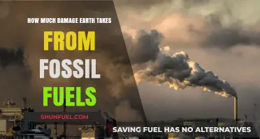 The Dark Side of Fossil Fuels: Earth's Damage