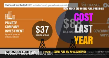 The High Cost of Fossil Fuel Subsidies
