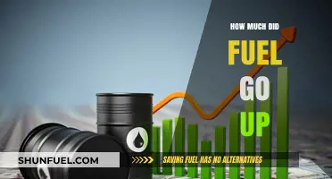 The Rising Cost of Fuel: How Much Did Prices Surge?