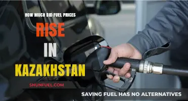 Kazakhstan's Fuel Prices: A Steep Rise