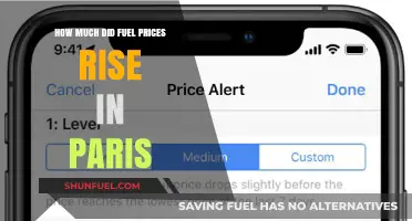Paris Fuel Prices: A Steep Rise
