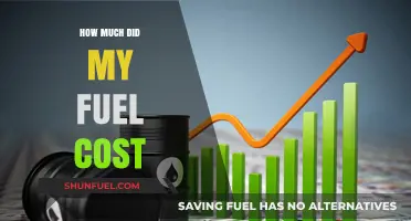 Fuel Costs: Tracking Your Expenses