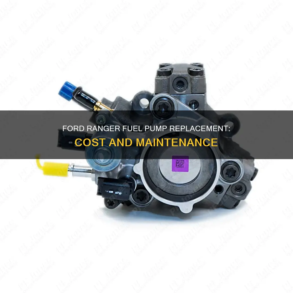 how much didyou pay for ford ranger fuel pump replacement