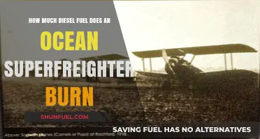 Superfreighters' Diesel Consumption: How Much is Too Much?