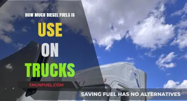 Trucks' Diesel Consumption: How Much and Why?