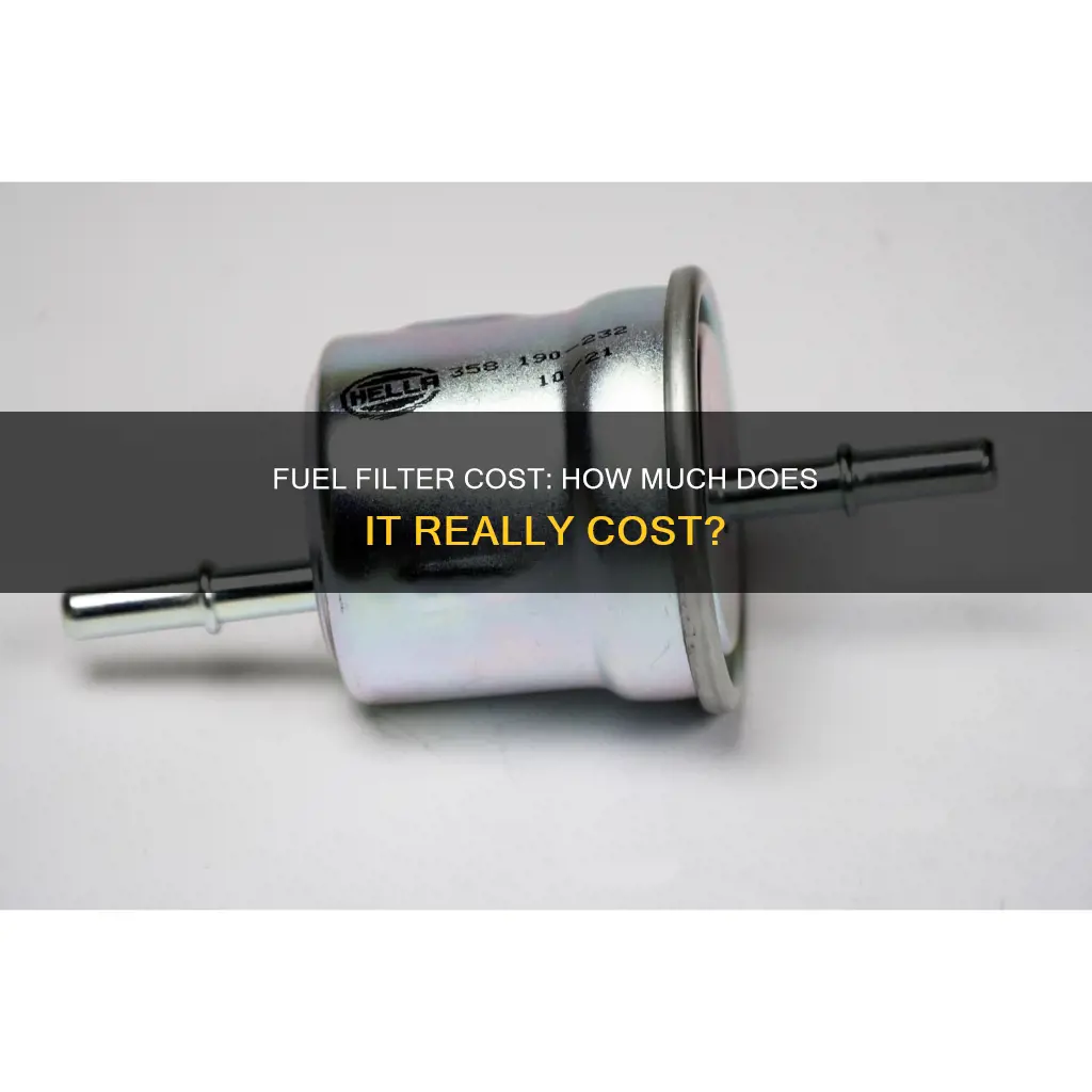 how much do a fuel filter cost