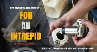 Fuel Pump Cost for an Intrepid: How Much?