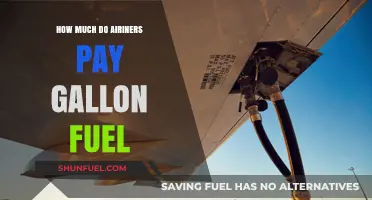 Airline Fuel Costs: Gallon Rates and Profits