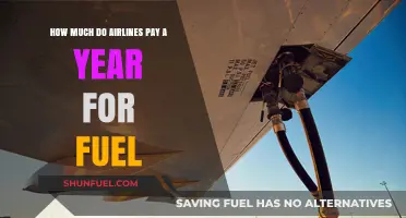 Airlines' Annual Fuel Costs: A Billion-Dollar Question