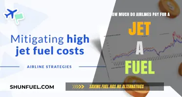 Airlines' Expenses: Jet Fuel Cost Insights