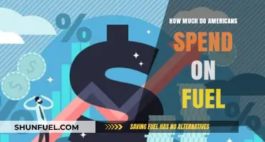 Fuel Spending: Americans' Expensive Affair with Gas
