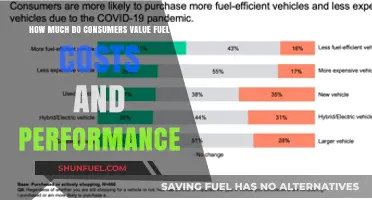 Fuel Costs and Performance: What Consumers Value Most