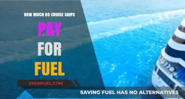 Cruise Ships' Fuel Expenses: A Costly Affair