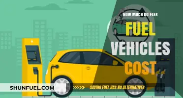 Flex Fuel Vehicles: Cost and Benefits