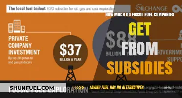 The Real Cost of Fossil Fuel Subsidies