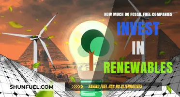 Fossil Fuel Giants: Their Renewables Investment