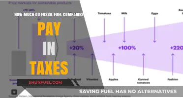 Fossil Fuel Firms: Tax Paid or Evaded?