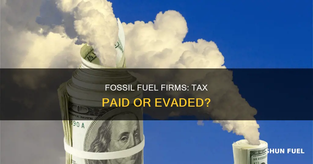 how much do fossil fuel companies pay in taxes