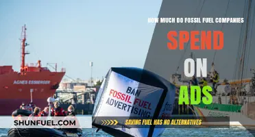 Fossil Fuel Companies: Millions Spent on Ads