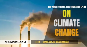 Climate Change: Fossil Fuel Companies' Spending Power