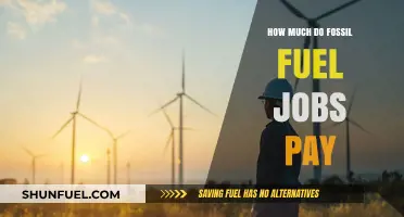 Lucrative Fossil Fuel Jobs: What's the Pay?