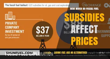 Fossil Fuel Subsidies: Impacting Prices and the Planet