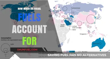 Fossil Fuels: A Dominant Energy Source